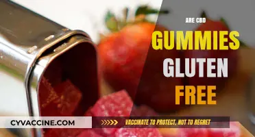 Are CBD Gummies Gluten-Free? A Comprehensive Guide for Consumers