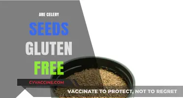 Are Celery Seeds Gluten-Free? A Comprehensive Guide for Dietary Needs