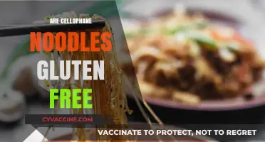 Are Cellophane Noodles Gluten-Free? A Clear and Simple Answer