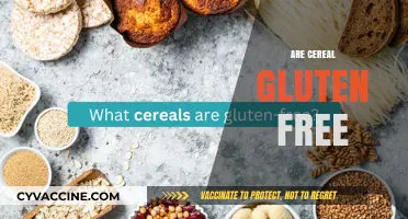 Are Cereals Gluten-Free? A Comprehensive Guide to Safe Breakfast Options