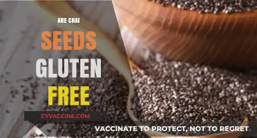 Are Chia Seeds Gluten-Free? A Complete Guide for Celiac Diets