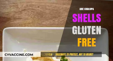 Are Chalupa Shells Gluten-Free? A Complete Guide to Your Favorite Shells