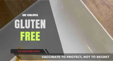 Are Chalupas Gluten-Free? A Comprehensive Guide for Celiac Diners