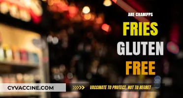 Are Champps Fries Gluten-Free? A Complete Guide for Celiac Diners