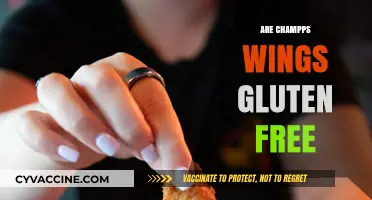 Are Champps Wings Gluten-Free? A Complete Guide for Diners