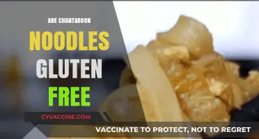 Chantaboon Noodles: Gluten-Free or Not? A Detailed Analysis
