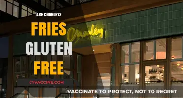 Are Charley's Fries Gluten-Free? A Complete Guide for Celiac Diners