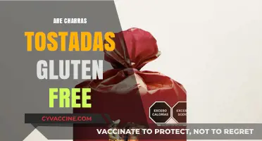Are Charras Tostadas Gluten Free? A Complete Guide for Celiacs