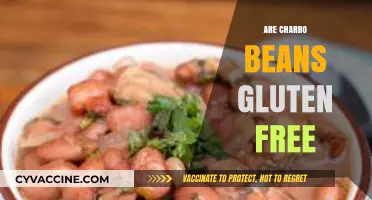 Are Charro Beans Gluten-Free? A Complete Guide for Celiacs