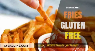 Are Checkers Fries Gluten-Free? A Complete Guide for Celiac Diners