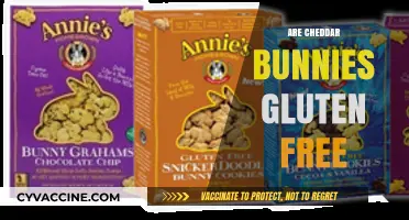 Are Cheddar Bunnies Gluten-Free? A Snack Lover's Guide
