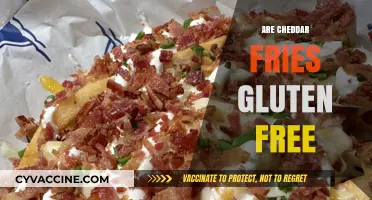 Are Cheddar Fries Gluten-Free? A Tasty Snack Guide