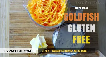 Are Cheddar Goldfish Gluten-Free? Discover the Snack Facts Here