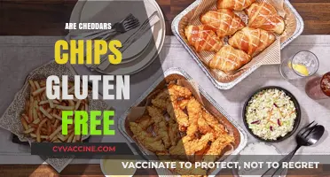 Are Cheddar's Chips Gluten-Free? A Crunchy Snack Fact Check