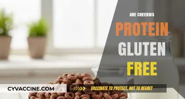 Are Cheerios Protein Gluten-Free? A Complete Nutritional Breakdown