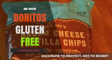 Are Cheese Doritos Gluten-Free? A Crunchy Snack Fact Check
