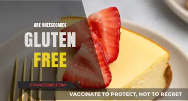Are Cheesecakes Gluten-Free? A Complete Guide to Ingredients and Options