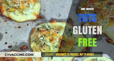 Are Cheesy Tots Gluten Free? A Tasty Truth Revealed