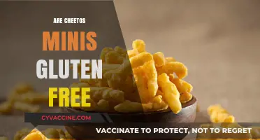 Are Cheetos Minis Gluten-Free? A Snack Lover's Guide