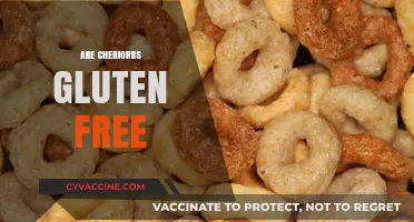 Are Cherrios Gluten-Free? Unraveling the Truth Behind the Cereal
