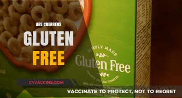 Are Cherrios Gluten-Free? Unraveling the Cereal Mystery for Celiacs