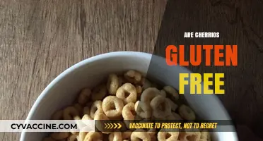 Are Cheerios Gluten-Free? Unraveling the Truth for Celiac Diets