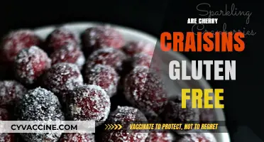 Are Cherry Craisins Gluten-Free? A Comprehensive Guide for Snackers
