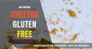 Are Chester's Cheetos Gluten-Free? A Crunchy Snack Fact Check