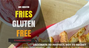 Are Chester Fries Gluten-Free? A Complete Guide to Ingredients