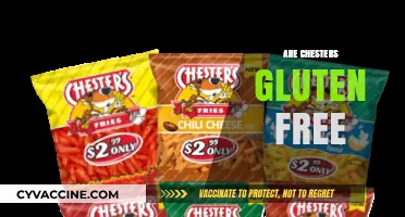 Are Chesters Gluten Free? A Complete Guide to Their Snacks