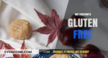 Are Chestnuts Gluten-Free? A Nutritional Guide for Celiac Diets