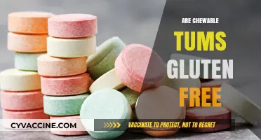 Are Chewable Tums Gluten-Free? A Comprehensive Guide for Celiacs