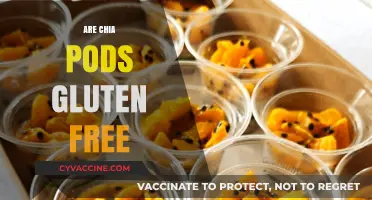 Chia Pods and Gluten: Are They a Safe, Healthy Option?
