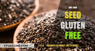 Chia Seeds and Gluten: Are They Safe for Celiac Diets?