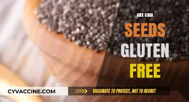 Chia Seeds and Gluten: Are They a Safe, Healthy Pair?