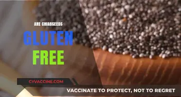 Chia Seeds and Gluten: Are They a Safe, Healthy Option?