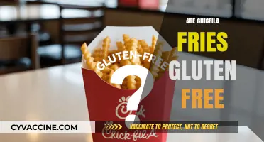 Are Chick-fil-A Fries Gluten-Free? A Complete Guide for Celiacs
