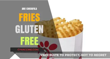 Are Chick-fil-A Fries Gluten-Free? A Complete Guide for Celiacs