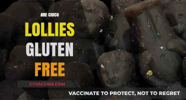 Are Chico Lollies Gluten-Free? A Sweet Treat Investigation