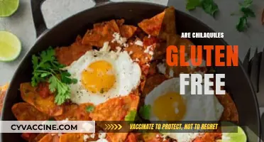 Are Chilaquiles Gluten-Free? A Crunchy Mexican Dish Explored