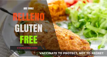 Are Chile Rellenos Gluten-Free? A Complete Guide for Food Lovers