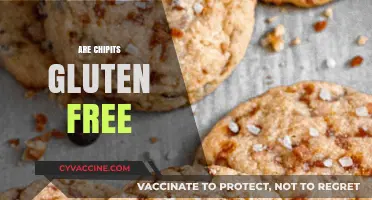 Are Chipits Gluten Free? A Comprehensive Guide for Bakers