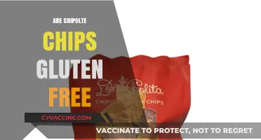 Are Chipotle Chips Gluten-Free? A Complete Guide for Celiac Eaters