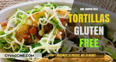 Are Chipotle's Tortillas Gluten-Free? A Complete Guide for Diners