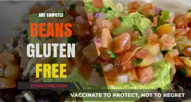Are Chipotle Beans Gluten-Free? A Complete Guide for Diners