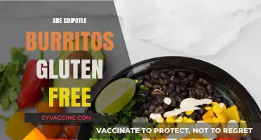 Are Chipotle Burritos Gluten-Free? A Complete Guide for Celiacs