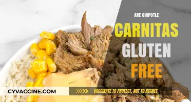 Are Chipotle Carnitas Gluten-Free? A Complete Guide for Diners