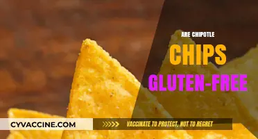 Are Chipotle Chips Gluten-Free? A Complete Guide for Celiac Diners