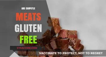 Are Chipotle Meats Gluten-Free? A Complete Guide for Diners