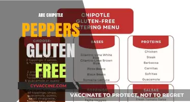 Are Chipotle Peppers Gluten-Free? A Complete Guide for Spice Lovers